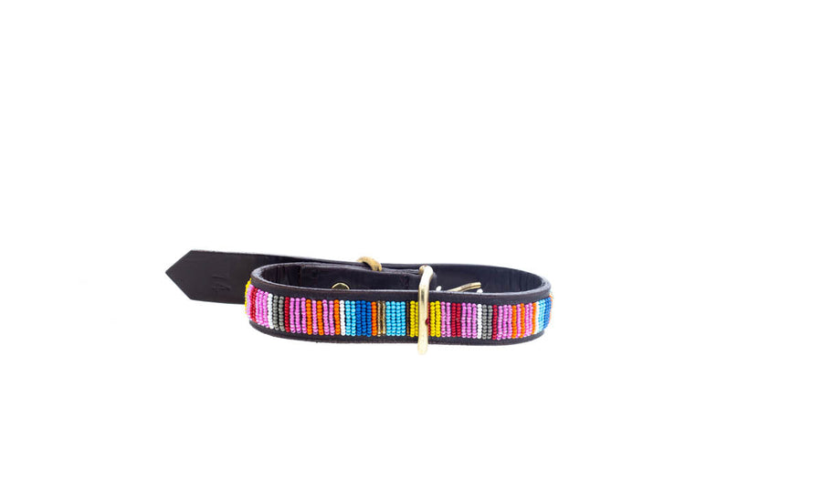 Mexican Pink Dog Collar