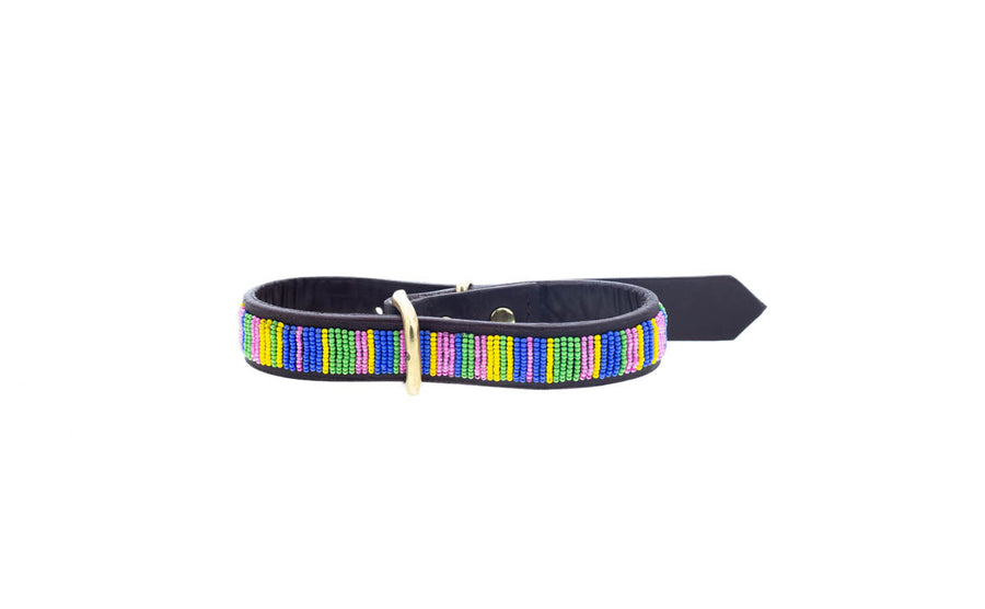 Mexican Pink Dog Collar