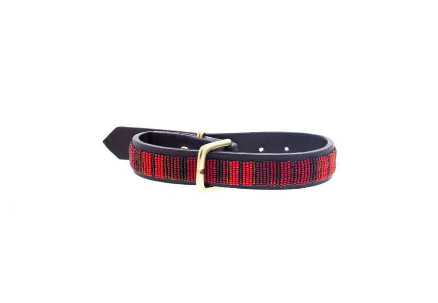 Mexican Red Dog Collar